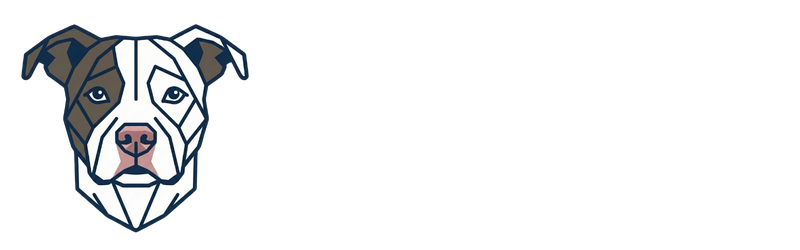 bimmer - AI training for real teams